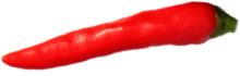 scharfer roter Thai Chili